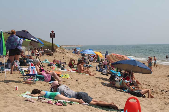 Herring Cove Beach - Hot, hot, hot day!