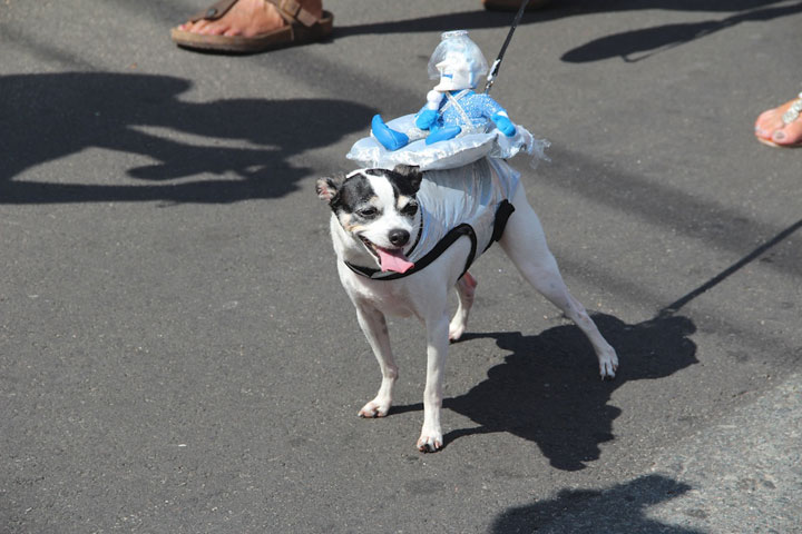 Provincetown Carnival Parade 2012