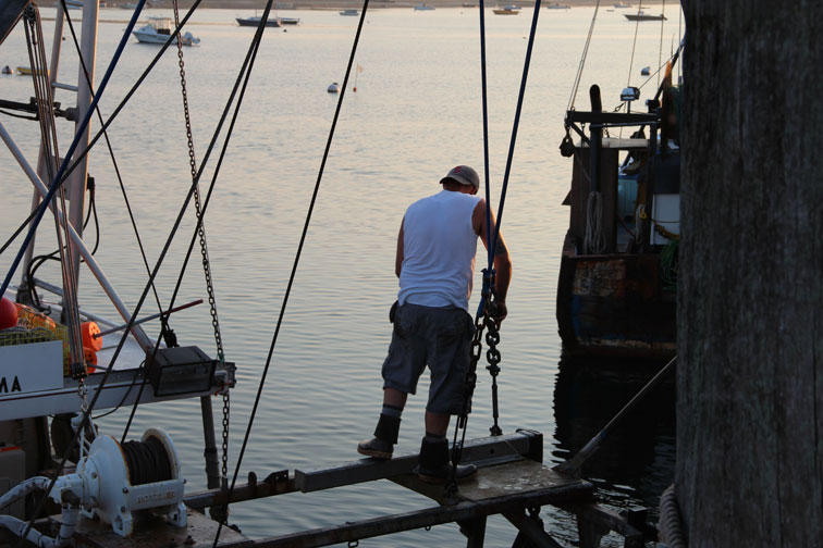 July 17, 2012 Provincetown Harbor, MacMillan Pier: Going Fishing