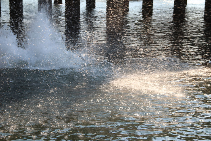 Summer in Provincetown, Diving from MacMillan Pier