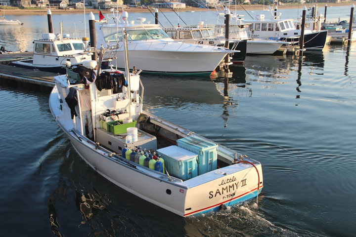 Provincetown Harbor, fishing boats and yachts