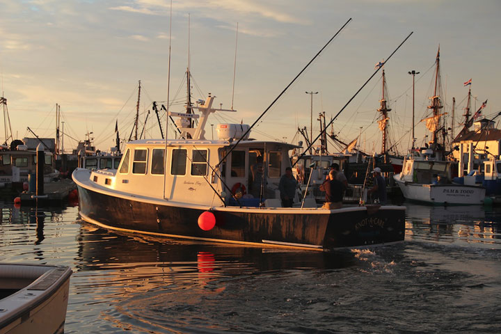 Provincetown Harbor, fishing boats and yachts