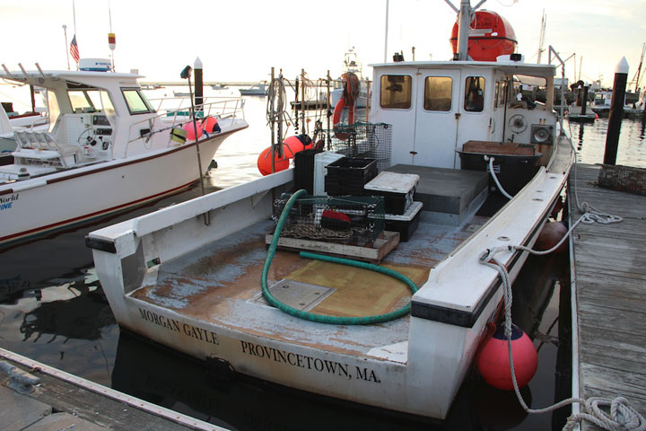 Provincetown Harbor, fishing boats and yachts, Morgan Gyle