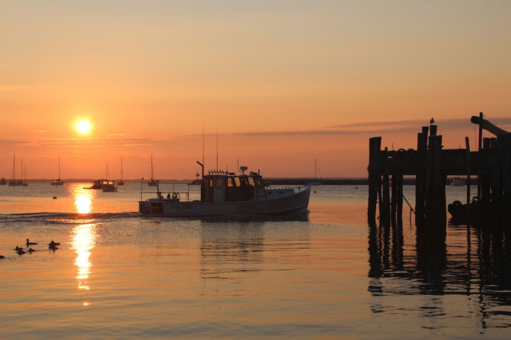 Provincetown Harbor, fishing boats and yachts