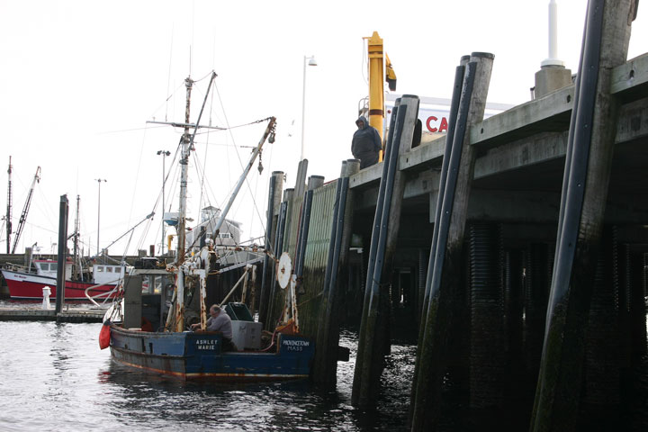 Ptown Harbor, MacMillan Pier, Fishing Boats