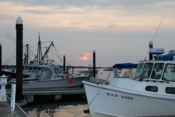 Ptown Harbor, MacMillan Pier, Fishing Boats