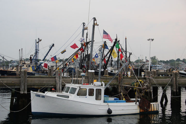 Ptown Harbor, MacMillan Pier, Fishing Boats