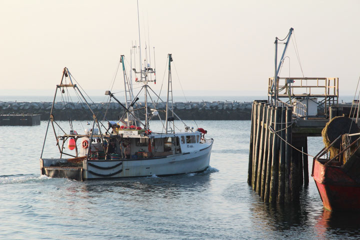 Ptown Harbor, MacMillan Pier, Fishing Boats