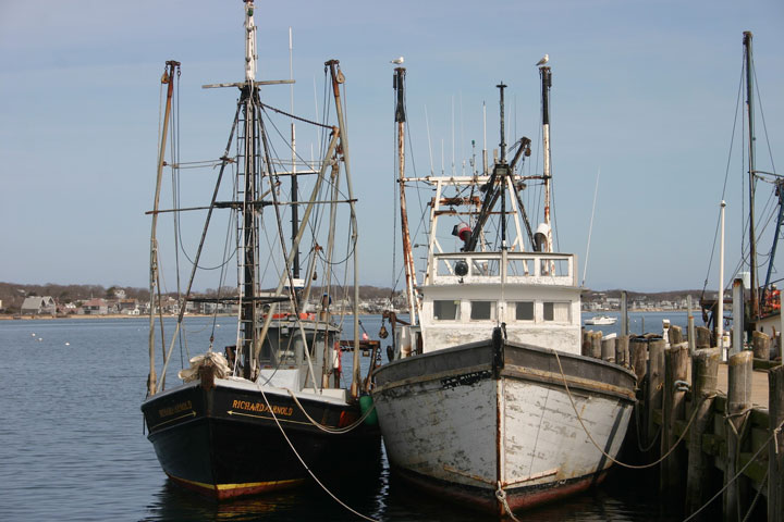 Ptown Harbor, MacMillan Pier, Fishing Boats