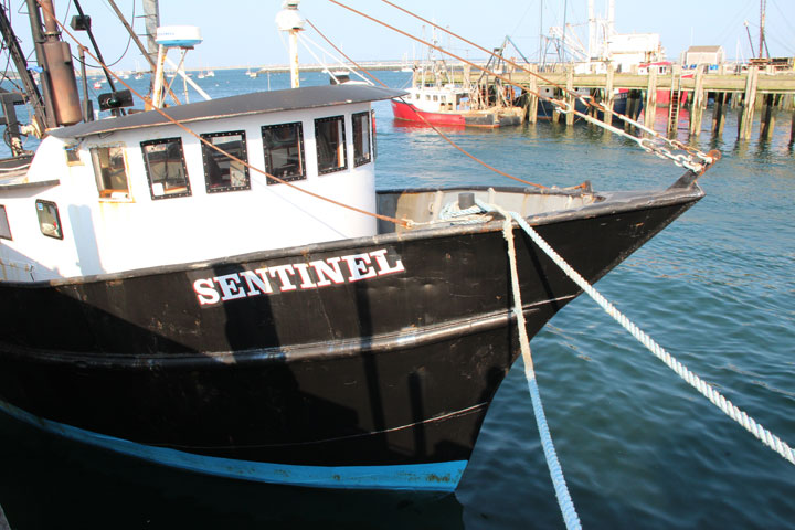 Ptown Harbor, MacMillan Pier, Fishing Boats