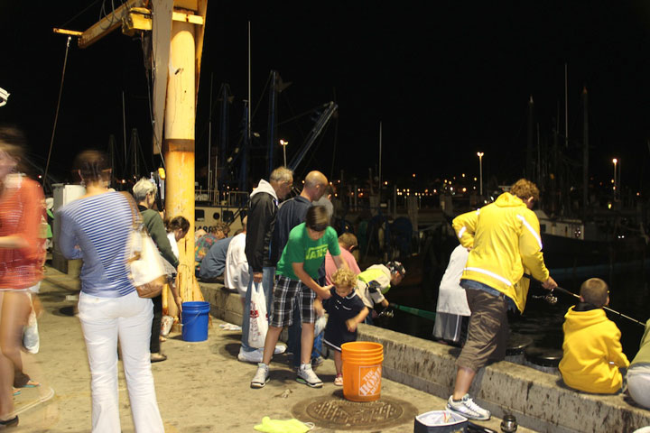 Squid Fishing at MacMillan Pier, Provincetown Harbor