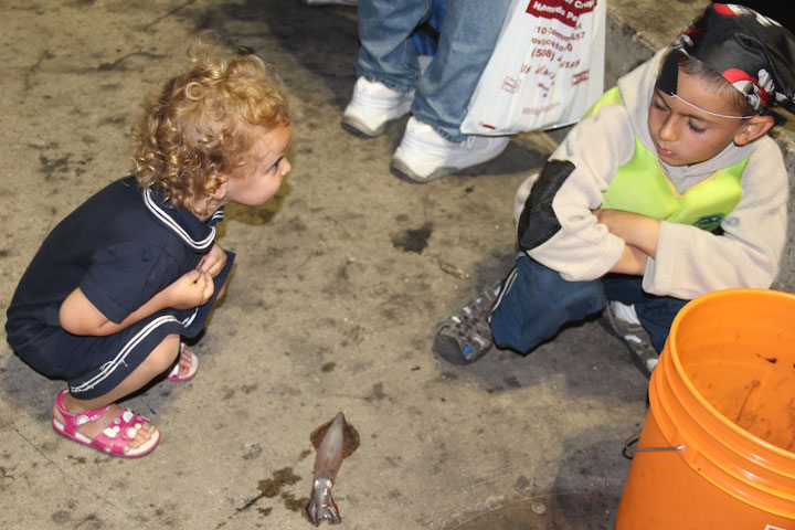 Squid Fishing at MacMillan Pier, Provincetown Harbor