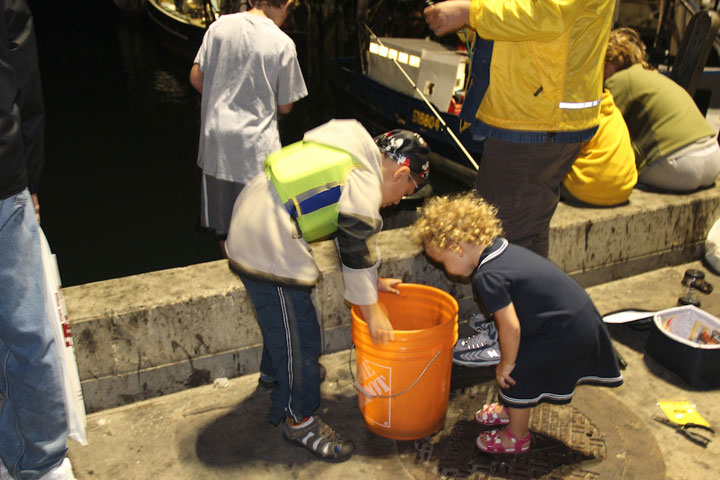 Squid Fishing at MacMillan Pier, Provincetown Harbor