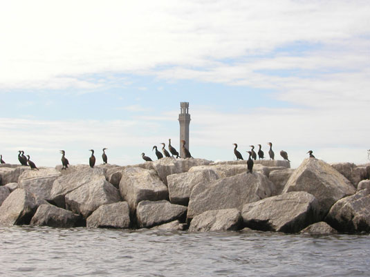 Pilgrim Monument and Provincetown Museum