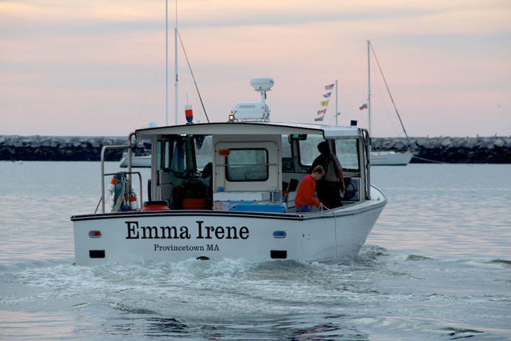 July 31, 2012 New day in Provincetown, MacMillan Pier