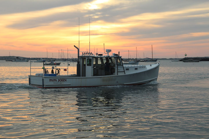 July 31, 2012 New day in Provincetown, MacMillan Pier