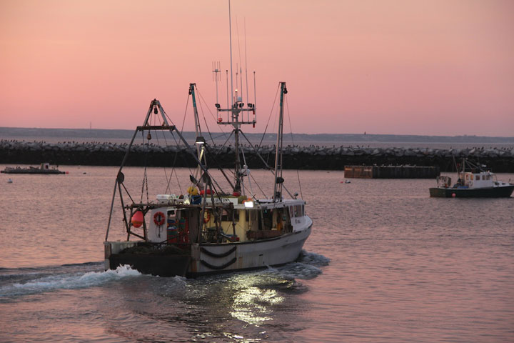 July 31, 2012 New day in Provincetown, MacMillan Pier