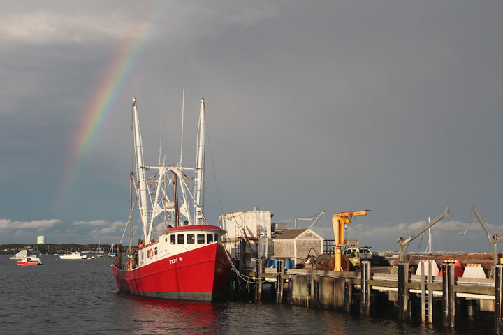 Provincetown Harbor, MacMillan Pier