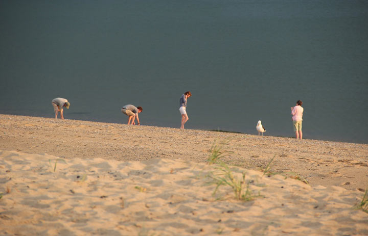 Ptown Sunsets, Herring Cove Beach