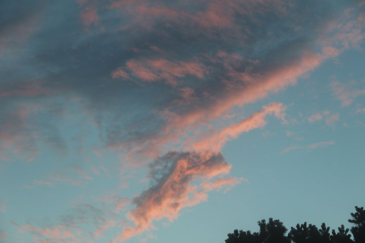 North Truro, sunrise sky overy my garden; photograph by Ewa Nogiec