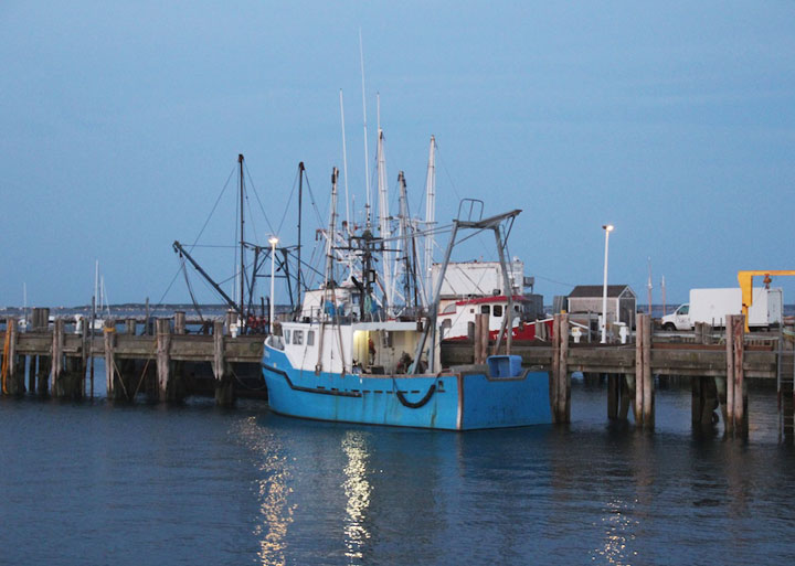 New fishing boat, MacMillan Pier