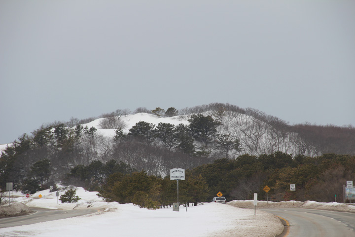 Provincetown Four Seasons