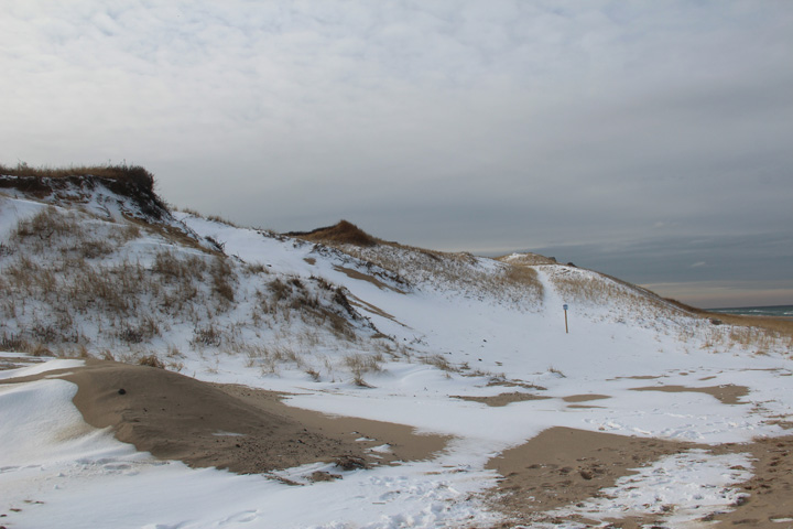 Provincetown Four Seasons