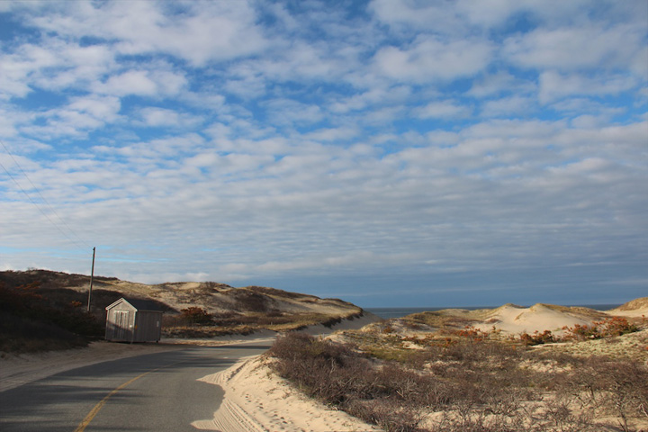 Coast Guard Beach, North Truro