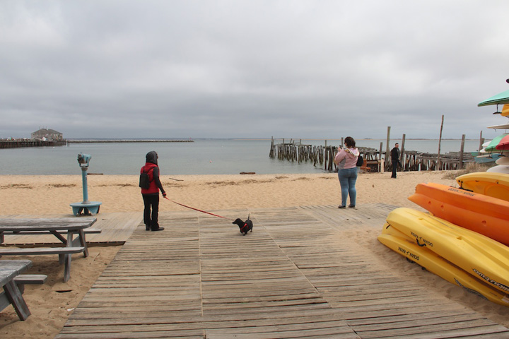 Provincetown Harbor, Whaler's Wharf landing