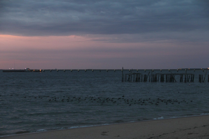 Provincetown Harbor