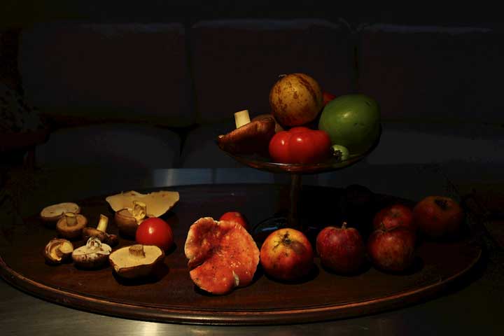 Photograph by Ewa Nogiec, Mushrooms from National Seashore Park forest in North Truro