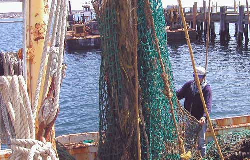 Provincetown fishing boat Chico-Jess