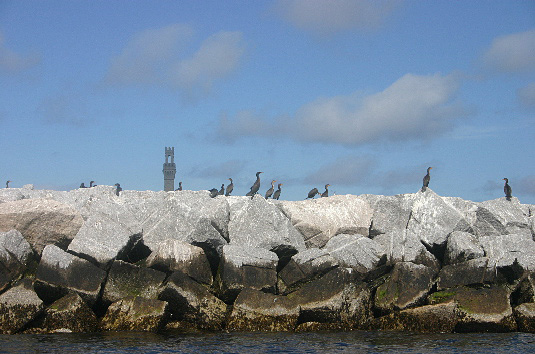 Provincetown Harbor, Fishing Boats