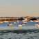 Provincetown Harbor, Morings