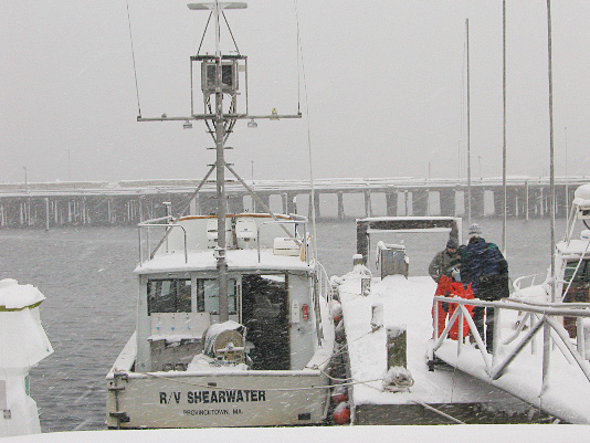 Provincetown Harbor, Fishing Boats