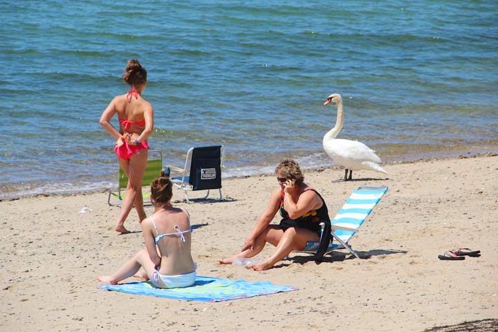 North Truro, Beach Point hot summer day