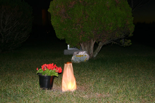 Provincetown Cemetery November 1st Lights