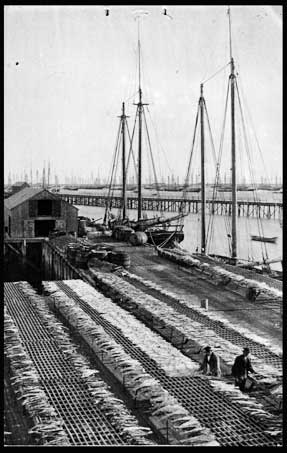 Provincetown is old fishing community