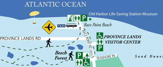 Provincetown Beech Forest map