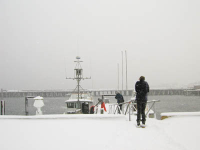 Winter, MacMillan Pier